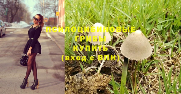 соль курить ск Алзамай